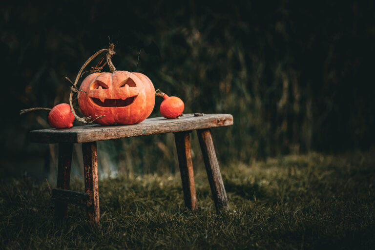 Jack-O-Lantern Fun and Easy Pumpkin Carving Ideas for Beginners 