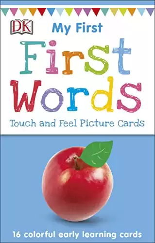 My First Touch and Feel Language Picture Cards: First Words (My First Board Books)